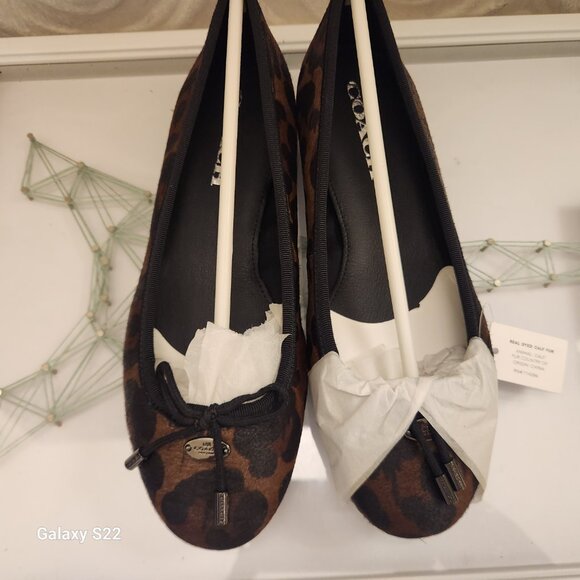 Coach "Lara Wildbeast" Print Flats. Haircalf. NIB. Size Various - Picture 5 of 12